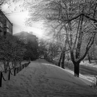 Зимний день :: Роман Савоцкий