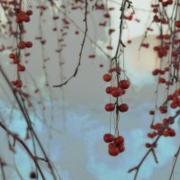 У крепостной стены. :: Татьяна Помогалова