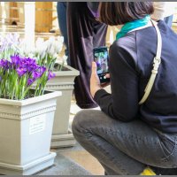 Цветы :: Михаил Кобзев