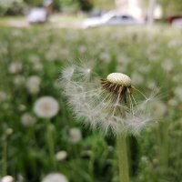 ,,, :: Сергей Тимоновский