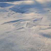 Так тает снег :: Галина Минчук