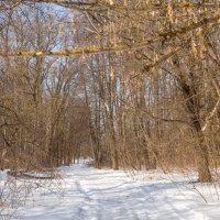 ___ :: Yuriy V ___ :: Yuriy V