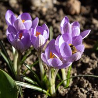 *** :: Александр. AVG100 ---