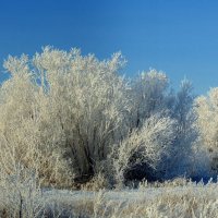 Сказочный день. :: nadyasilyuk Вознюк Сказочный день. :: nadyasilyuk Вознюк