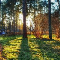 Солнечный, осенний день. :: Лилия *