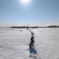 Замело :: Anna Ivanova