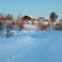 Морозное утро. :: Андрей Дурапов