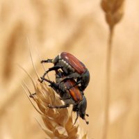 ЖЖ :: Юрий Варюхин 