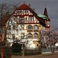 Утро 13 го марта :: Юрий. Шмаков