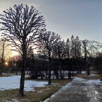 Закат :: Сапсан 