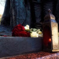 Здесь всегда цветы. :: Татьяна Помогалова