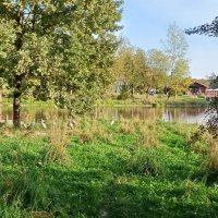 обитатели парка :: Галина R...