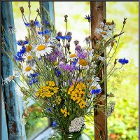 Полевые цветы на старом окне. :: Александр Дмитриев