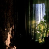 * :: Сергей Полянский