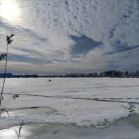 Мартовское солнце :: Мария Васильева Мартовское солнце :: Мария Васильева