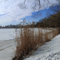 Март на Ижоре :: Мария Васильева