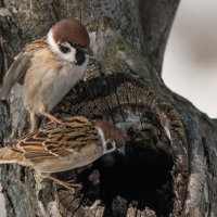 "Иди, проверь что там?" :: Владимир Безбородов