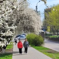 ,,, :: Сергей Тимоновский