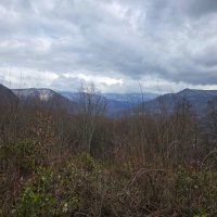 ПРОГУЛКА В ГОРАХ :: Tata Wolf