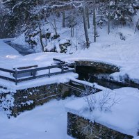 В зимнем лесу :: Ирэн 