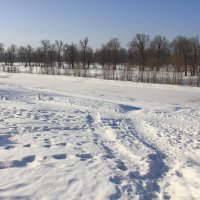 Идти или не идти... вот в чём вопрос? :: Евгений Корьевщиков