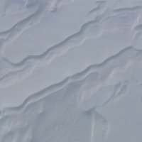 Следы ветра на снегу :: Александр Синдерёв