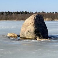 Пейзаж с камнем :: Ольга Савельева 