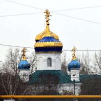 Вид :: Дарья Шуклина