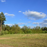 Весна. :: Виктор 