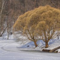 Март в Царицыно... :: Владимир Жданов Март в Царицыно... :: Владимир Жданов