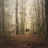 .......... :: Свечение Язычество