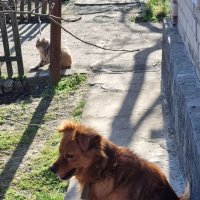 Солнечный день :: Наталья 