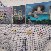 Выставка КотоХаос - "Питерский", "Воронежский", "Анапский" :: Татьяна Машошина