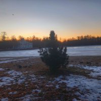 Рассвет :: Сапсан 