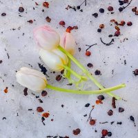 Был месяц март :: Валерий Иванович