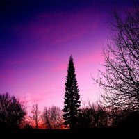 Мартовский вечер :: Людмила Смородинская