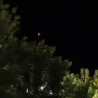 Затмение луны :: Галина Минчук Затмение луны :: Галина Минчук