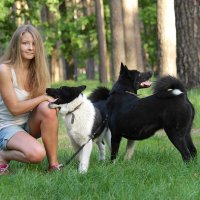 4123 :: Alex . 4123 :: Alex .