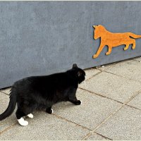 В городе котов и кошек. :: Валерия Комова В городе котов и кошек. :: Валерия Комова