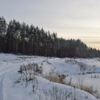 Дорога к солнцу. :: ВикТор Быстров