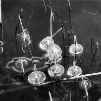 ПОПЛАВКИ / ч б / :: Виктор Никитенко