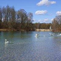 Весна, весна! Как воздух чист! Как ясен небосклон! ... :: Галина 