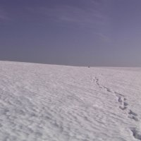 Путь в белую пустыню :: fogmeadowww m