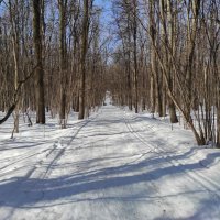 Лыжники уехали :: Игорь Ч.