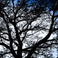 Тула. Графика. :: Артём Евтюхов