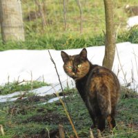 Чего? :: Николай Я