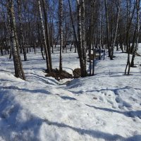Март в городе :: Андрей Лукьянов