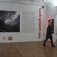выставка "Тот самый цирк" :: zavitok *