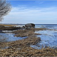 Весна на Калининградском заливе. :: Валерия Комова Весна на Калининградском заливе. :: Валерия Комова