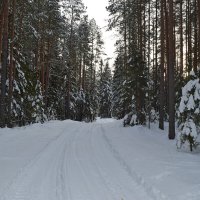 Зимняя дорога. :: ВикТор Быстров